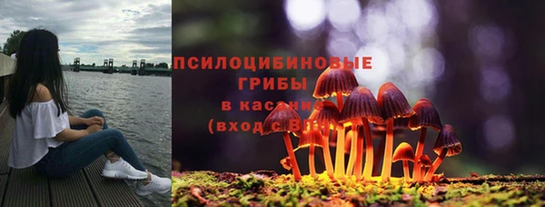 а пвп мука Бугульма